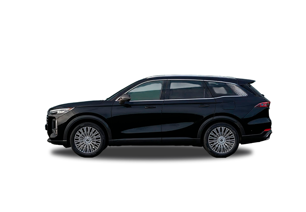 TIGGO 9